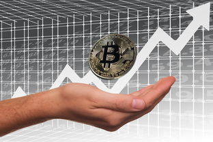 米兰体育网址-英超俱乐部母公司上市路径与股价波动分析，英超俱乐部投入