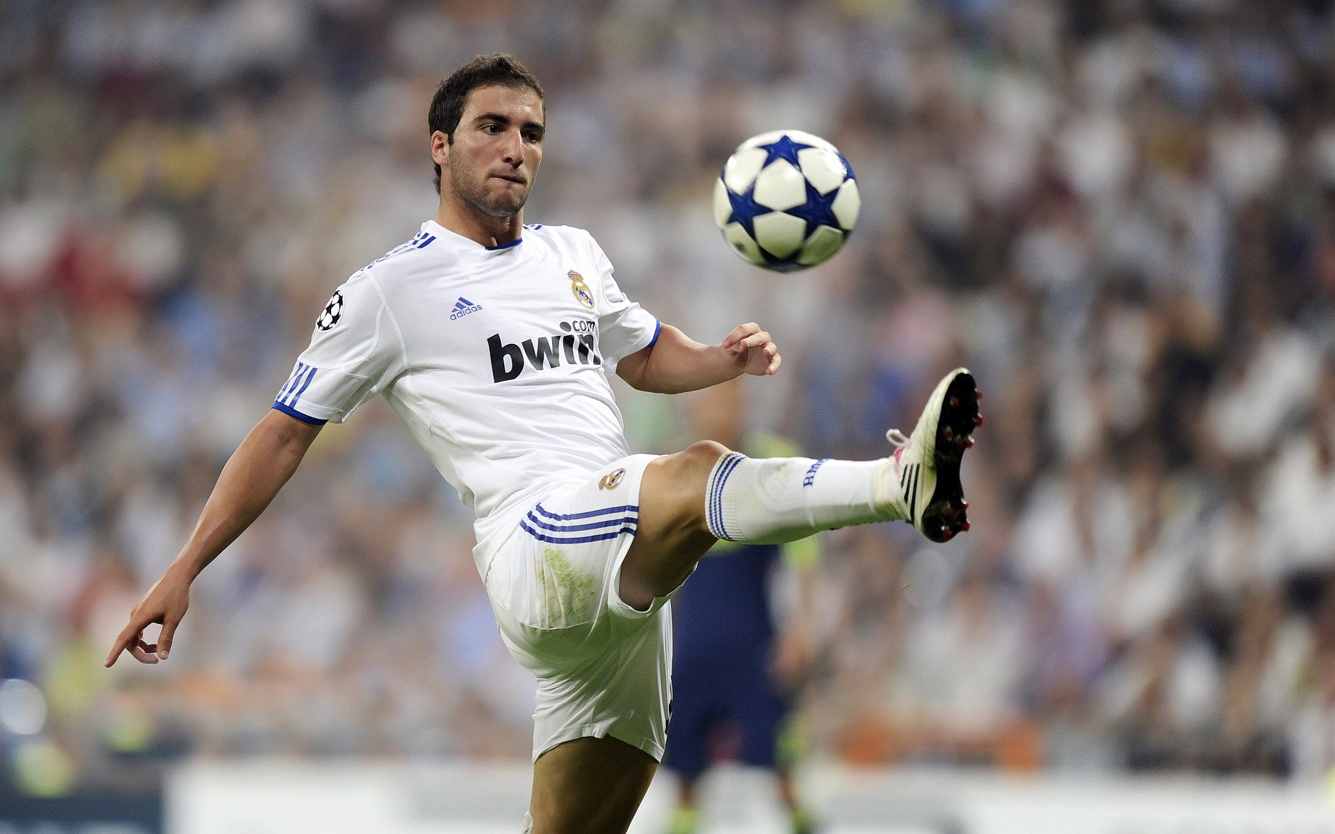 米兰体育官方网站-美洲杯的青少年培养项目，美洲青年锦标赛足球