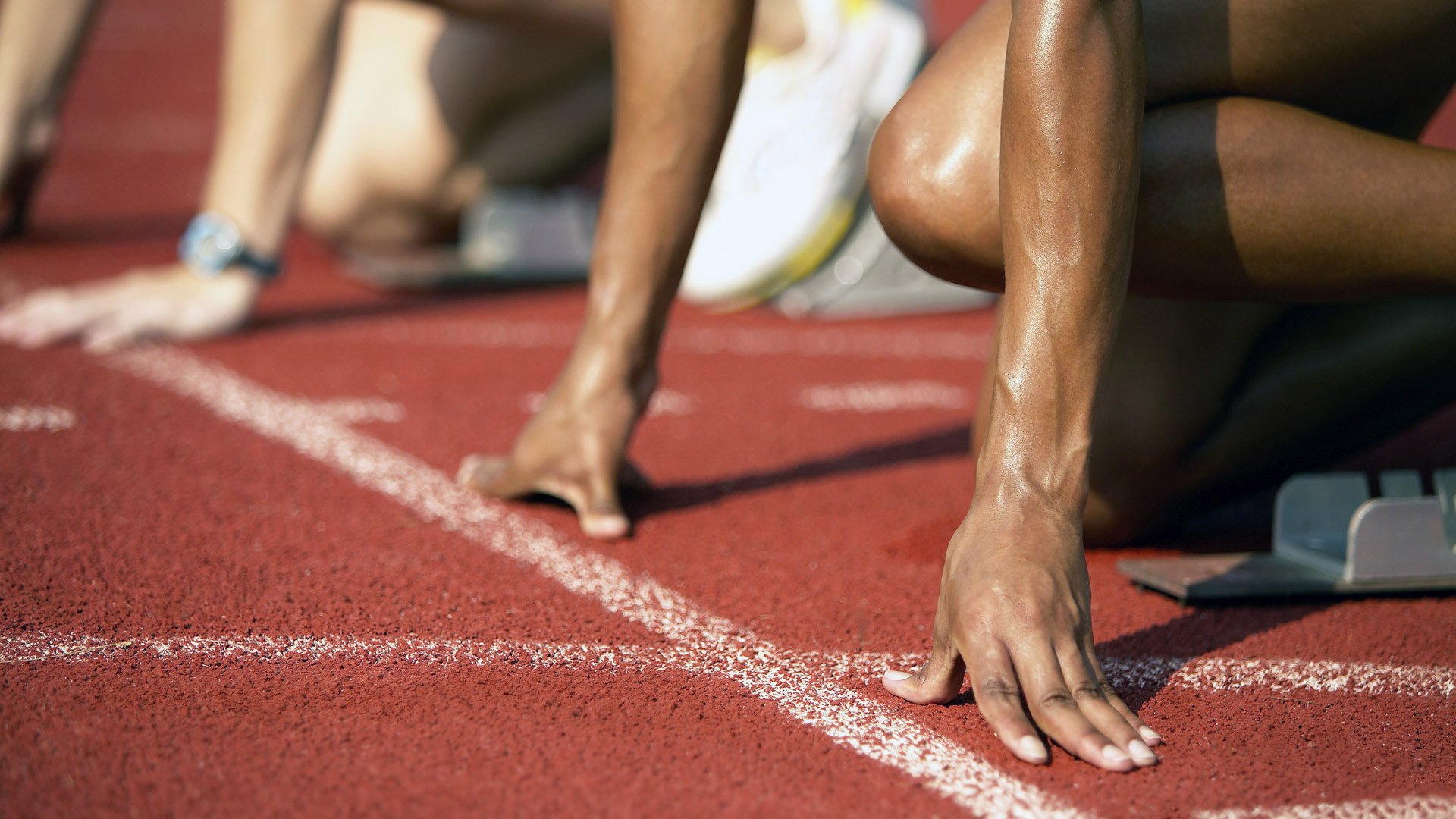 体育新闻中心记录体育慈善项目全流程管理内容，关于体育的公益项目